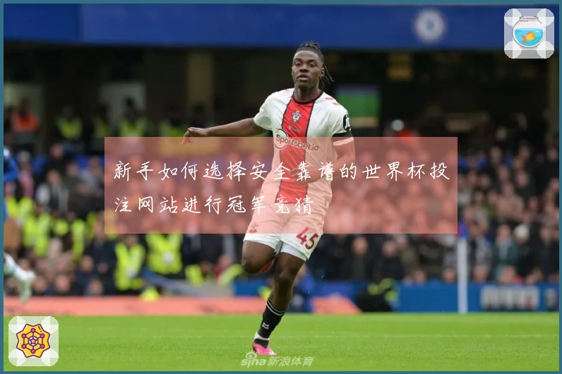 新手如何选择安全靠谱的世界杯投注网站进行冠军竞猜