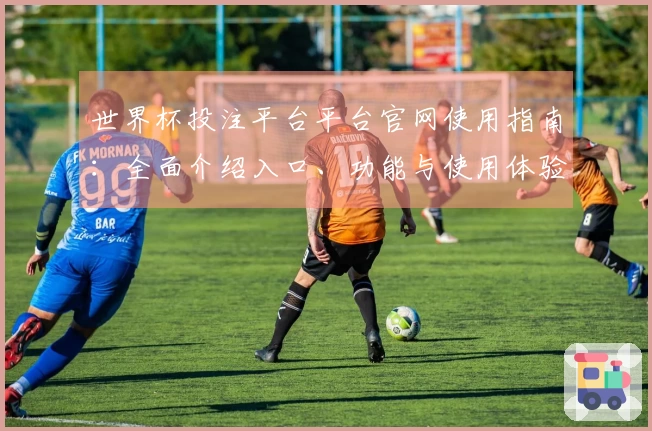 世界杯投注平台平台官网使用指南：全面介绍入口、功能与使用体验