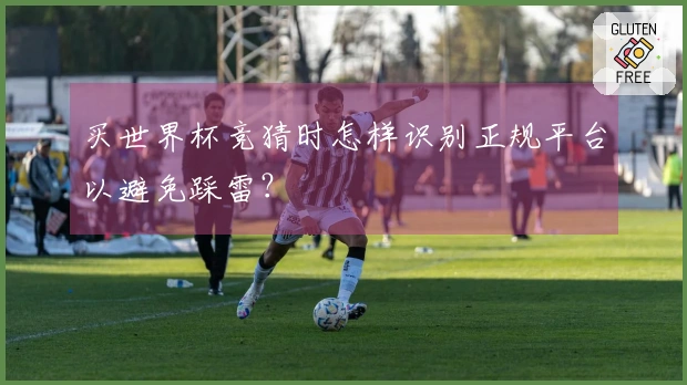 买世界杯竞猜时怎样识别正规平台以避免踩雷？