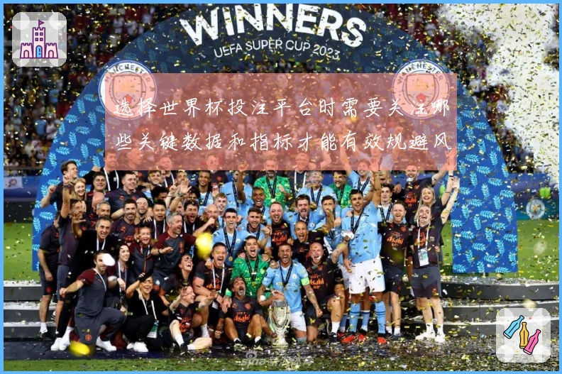 选择世界杯投注平台时需要关注哪些关键数据和指标才能有效规避风险