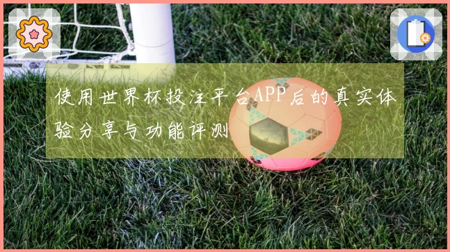 使用世界杯投注平台APP后的真实体验分享与功能评测