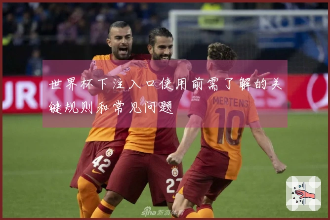 世界杯下注入口使用前需了解的关键规则和常见问题