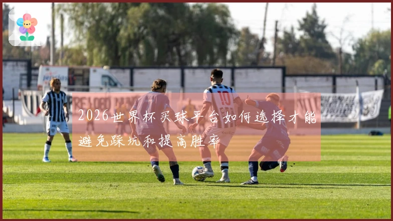 2026世界杯买球平台如何选择才能避免踩坑和提高胜率