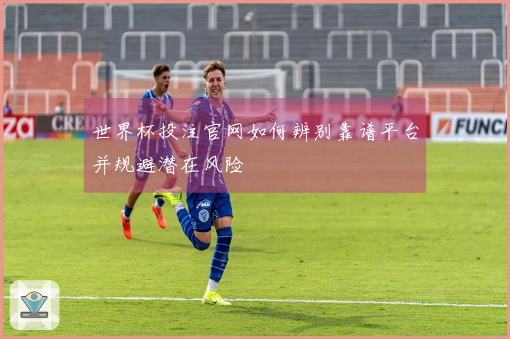 世界杯投注官网如何辨别靠谱平台并规避潜在风险