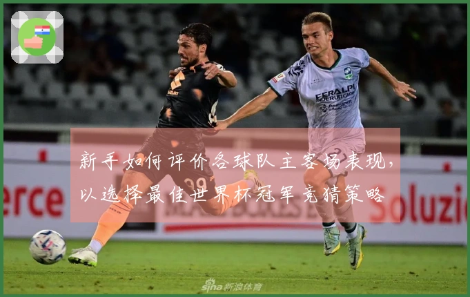 新手如何评价各球队主客场表现，以选择最佳世界杯冠军竞猜策略