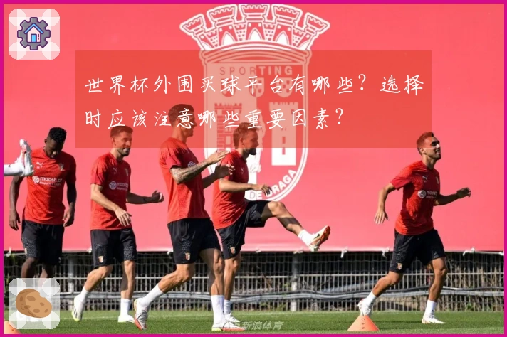 世界杯外围买球平台有哪些？选择时应该注意哪些重要因素？