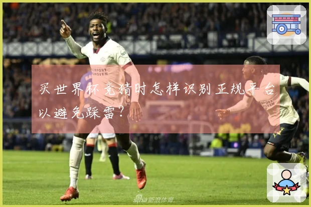买世界杯竞猜时怎样识别正规平台以避免踩雷？