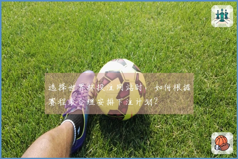 选择世界杯投注网站时，如何根据赛程表合理安排下注计划？