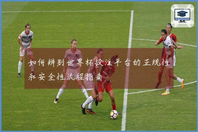 如何辨别世界杯投注平台的正规性和安全性流程指南