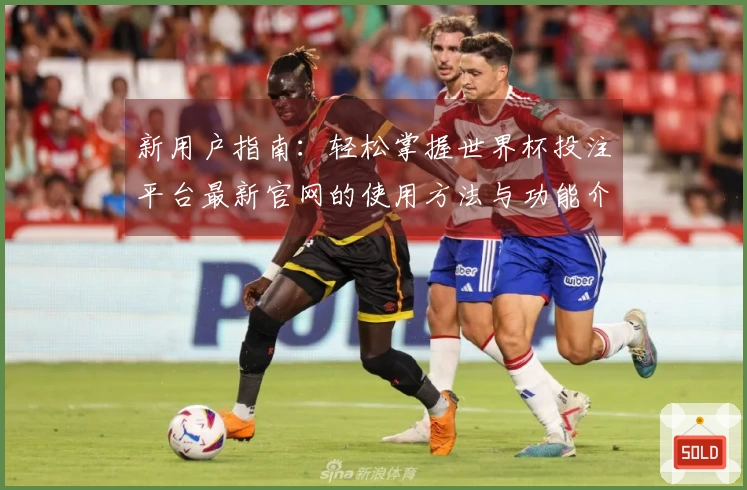 新用户指南：轻松掌握世界杯投注平台最新官网的使用方法与功能介绍