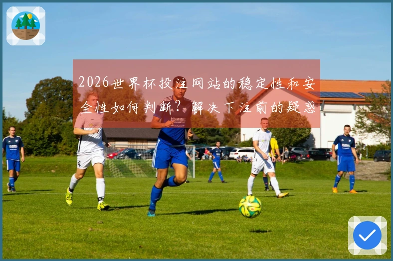 2026世界杯投注网站的稳定性和安全性如何判断？解决下注前的疑惑