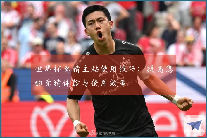 世界杯竞猜主站使用技巧：提高您的竞猜体验与使用效率