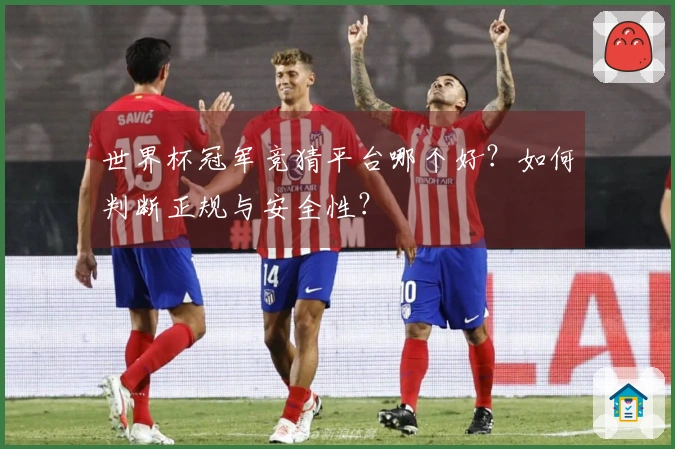 世界杯冠军竞猜平台哪个好？如何判断正规与安全性？