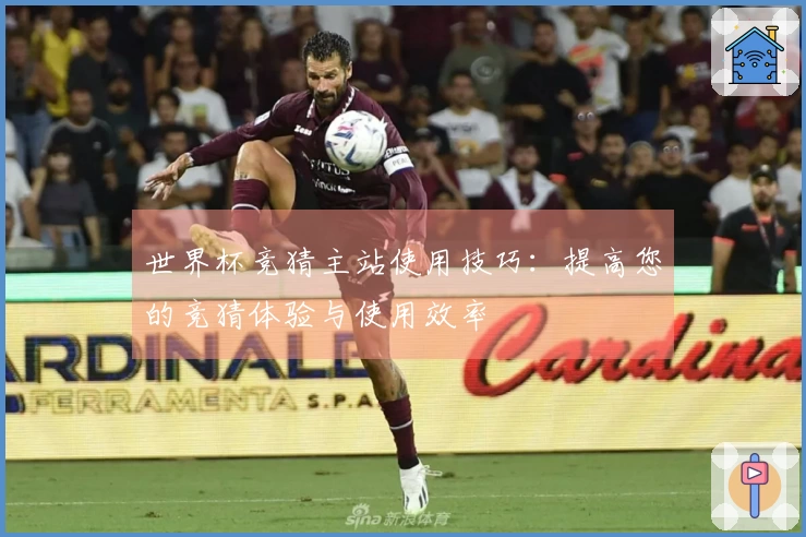 世界杯竞猜主站使用技巧：提高您的竞猜体验与使用效率