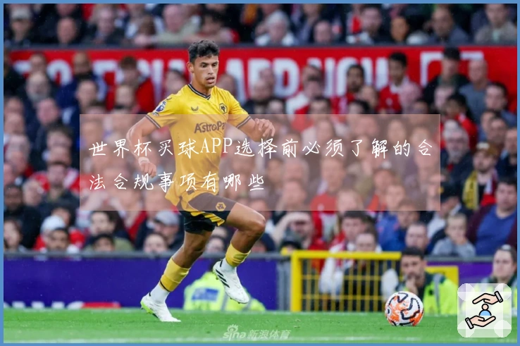世界杯买球APP选择前必须了解的合法合规事项有哪些