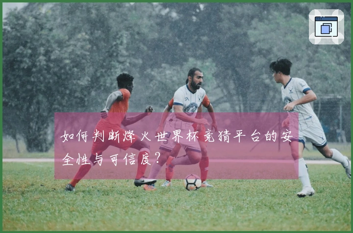 如何判断烽火世界杯竞猜平台的安全性与可信度？