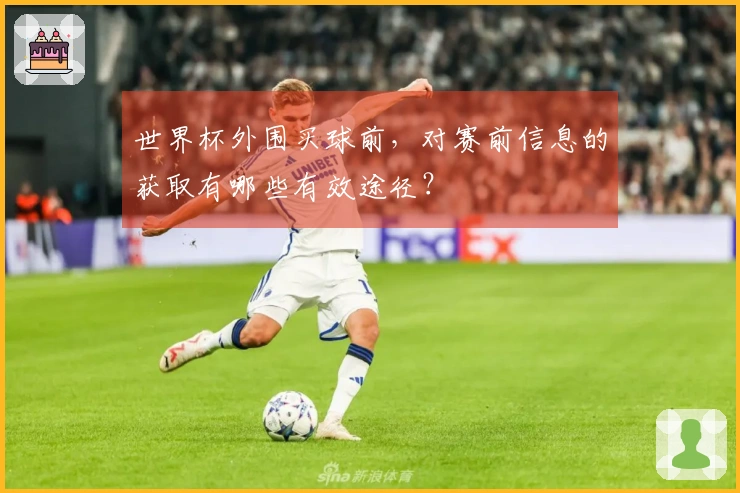 世界杯外围买球前，对赛前信息的获取有哪些有效途径？