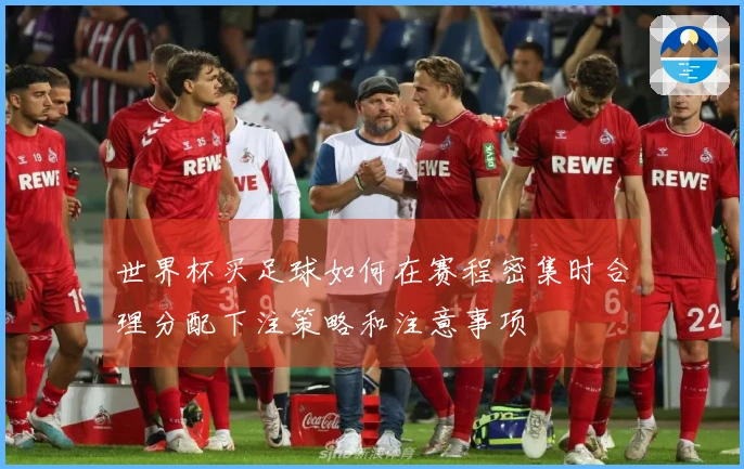 世界杯买足球如何在赛程密集时合理分配下注策略和注意事项