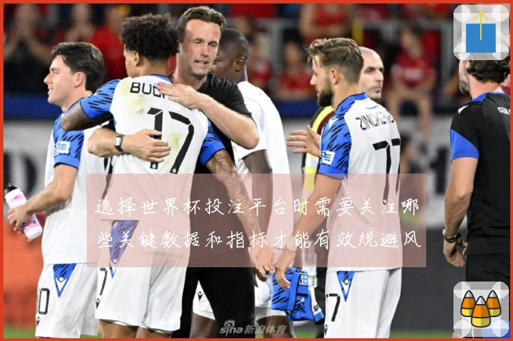 选择世界杯投注平台时需要关注哪些关键数据和指标才能有效规避风险