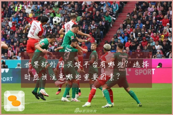 世界杯外围买球平台有哪些？选择时应该注意哪些重要因素？